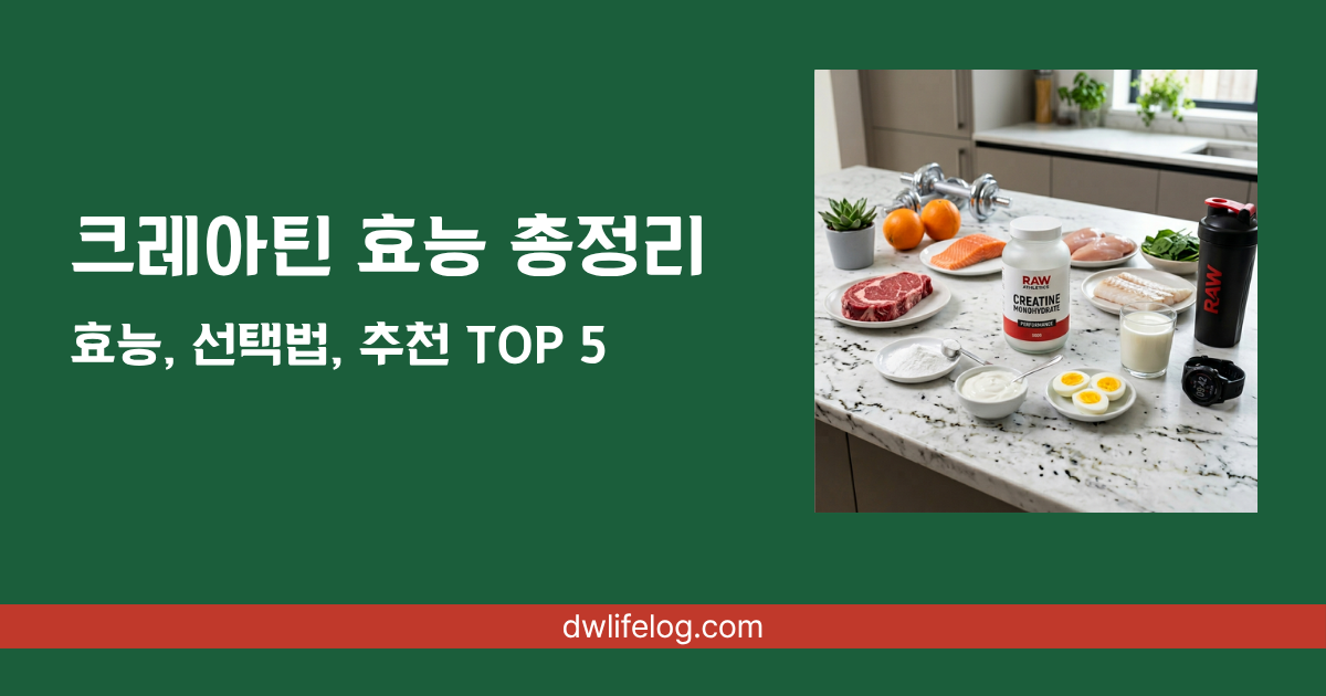 크레아틴 효능 관련 정보 총정리 | DW Lifelog