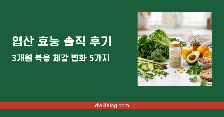 엽산 효능 관련 정보 총정리 | DW Lifelog