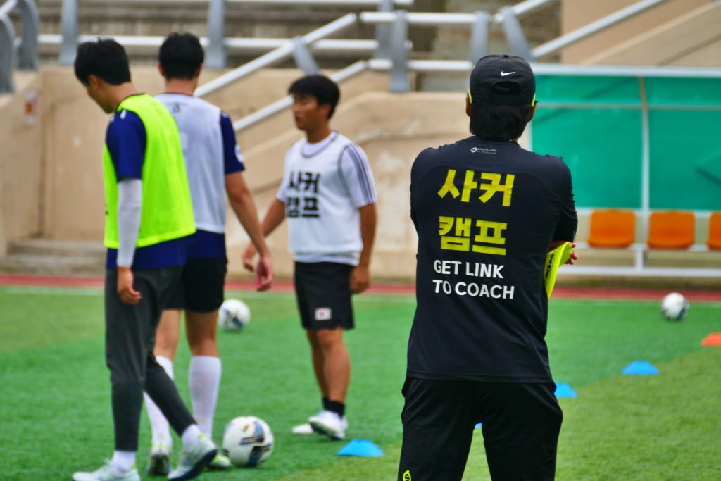 쏘팔메토 효능 개념 설명 이미지 | DW Lifelog